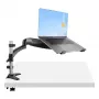 StarTech.com lauale kinnitatav sülearvutihoidik - täisliigendiga käsi sülearvutile või ühele 34-tollisele monitorile - VESA-kinnitusega sülearvutialuse klamber - ergonoomiline reguleeritav sülearvutialus - lauaklamber