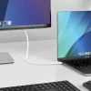 StarTech.com 6ft (2m) USB-C to DisplayPort 1.2 kaabel, Bidirectional, 4K 60Hz, Valge Video Adapter Cord for Apple MacBook Pro / Air M1 M2 M3 M4, Mac Mini / Studio, Thunderbolt Ühilduv