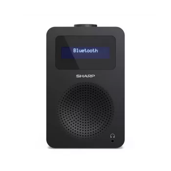 Isiklik raadio Sharp DR-430 digitaalse tuuneriga DAB DAB+ FM
