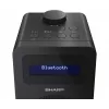 Isiklik raadio Sharp DR-430 digitaalse tuuneriga DAB DAB+ FM