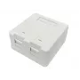 Lanview LVN127767 pistikupesa 2 x RJ-45 Valge