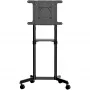 StarTech.com Mobiilne TV-käru - Kaasaskantav rulluv telerialus 37-70 inch VESA-kuvarile (154 lb/70 kg) - Telerialus koos riiuli ja hoiukambriga - Pööratav/kallutatav kuvar - Universaalne ratastel telerikinnitus
