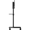 StarTech.com Mobiilne TV-käru - Kaasaskantav rulluv telerialus 37-70 inch VESA-kuvarile (154 lb/70 kg) - Telerialus koos riiuli ja hoiukambriga - Pööratav/kallutatav kuvar - Universaalne ratastel telerikinnitus