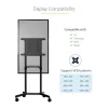 StarTech.com Mobiilne TV-käru - Kaasaskantav rulluv telerialus 37-70 inch VESA-kuvarile (154 lb/70 kg) - Telerialus koos riiuli ja hoiukambriga - Pööratav/kallutatav kuvar - Universaalne ratastel telerikinnitus