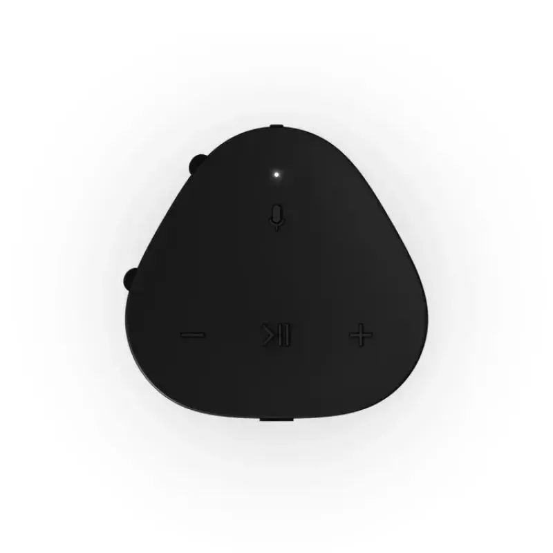 Stereo portable speaker Sonos Roam 2 Must