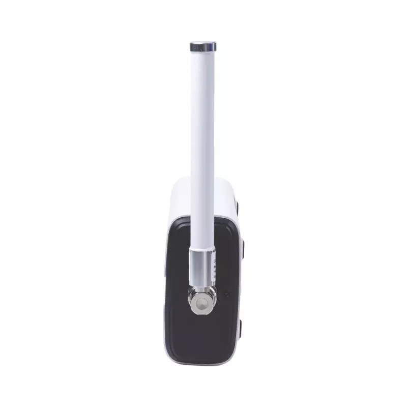 Ruuter Milesight UG65915EA 2,4 GHz IEEE 802.11b/g/n