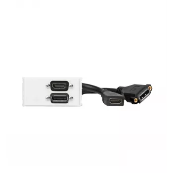 Vivolink WI221267 pistikupesa HDMI + DisplayPort valge