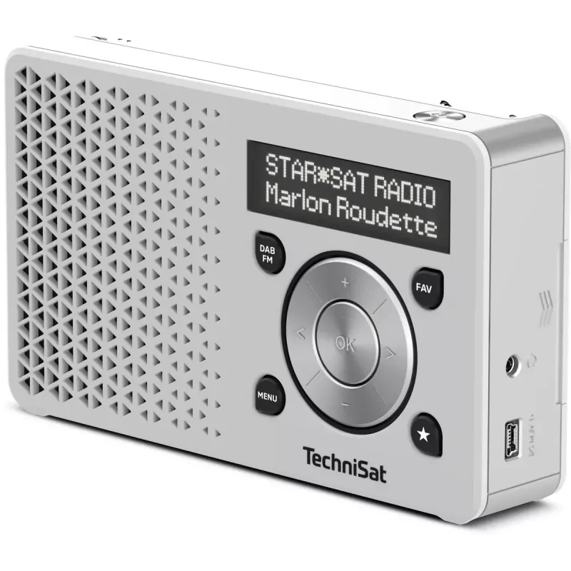 Kaasaskantav raadio TechniSat DigitRadio 1
