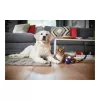 Philips PowerPro Expert FC9729/09 tolmuimeja ilma kotita