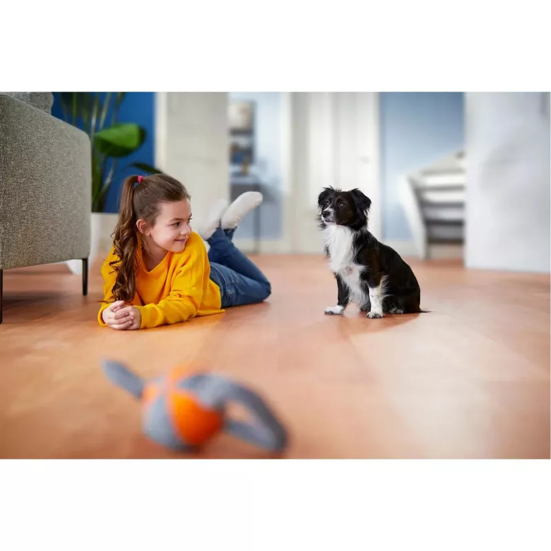 Philips PowerPro Expert FC9729/09 tolmuimeja ilma kotita