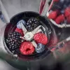 Sportblender Gastroback Vital Mixer Plus Must