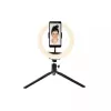 Valgustusrõngas Denver RLS-801 80 LED 600 lm 6500 K USB