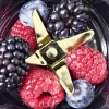 Spordiblender Gastroback Design Mix & Go roostevaba teras