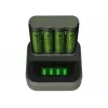Aku laadija GP patareid ReCyko M451 USB NiMH AA AAA