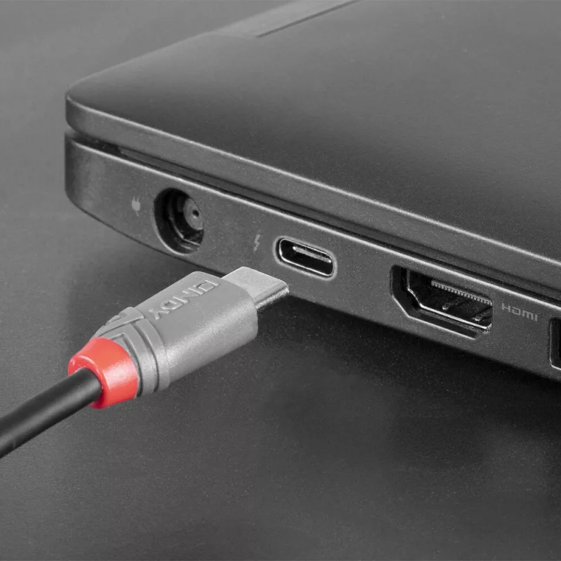 Lindy 0,5 m USB 2.0 Type C kuni Micro-B kaabel, Anthra Line