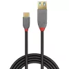 Lindy 0,15 m USB 3.2 Type C to A adapterkaabel, 10 Gbps, Anthra Line