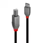 Lindy 1 m USB 2.0 C-tüüpi B-kaabel, Anthra Line