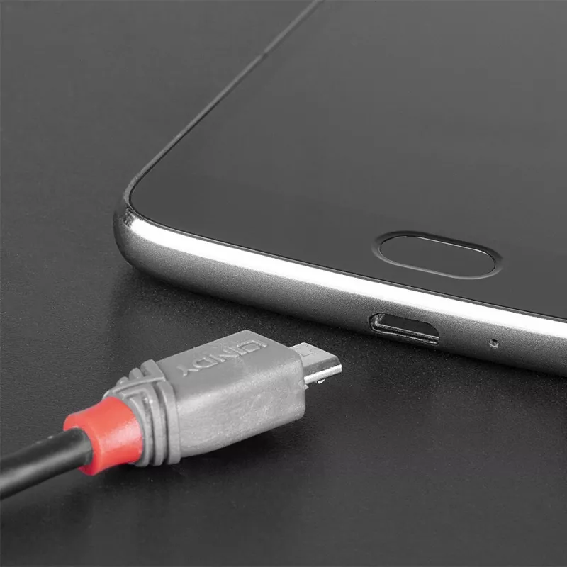 Lindy 3 m USB 2.0 Type C - Micro-B kaabel, Anthra Line