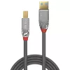 Lindy 2m USB 3.2 tüüp A-B kaabel, 5 Gbps, Cromo Line
