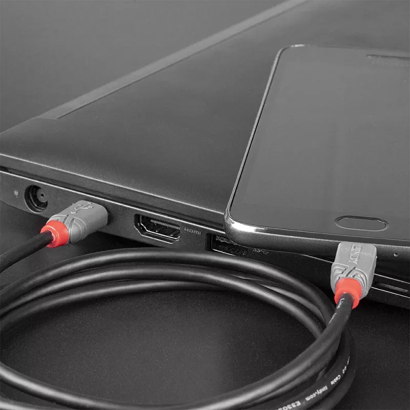 Lindy 2 m USB 2.0 tüüp C – Micro-B kaabel, Anthra Line