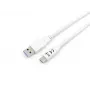 Equip USB 3.2 Gen 1 USB-C to A kaabel, M/M, 2 m