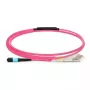 Lanview LVO230501-MTP InfiniBand/kiudoptiline kaabel 1 m Violetne
