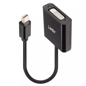 Lindy Mini DisplayPort DVI aktiivmuundur 0,16 m must