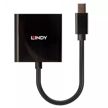 Lindy Mini DisplayPort DVI aktiivmuundur 0,16 m must