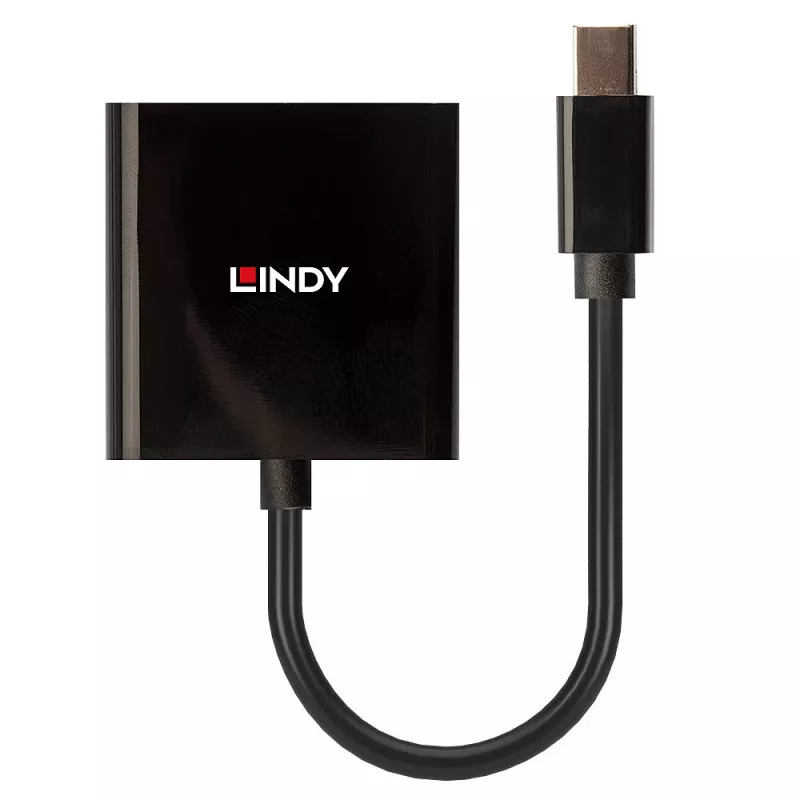 Lindy Mini DisplayPort DVI aktiivmuundur 0,16 m must