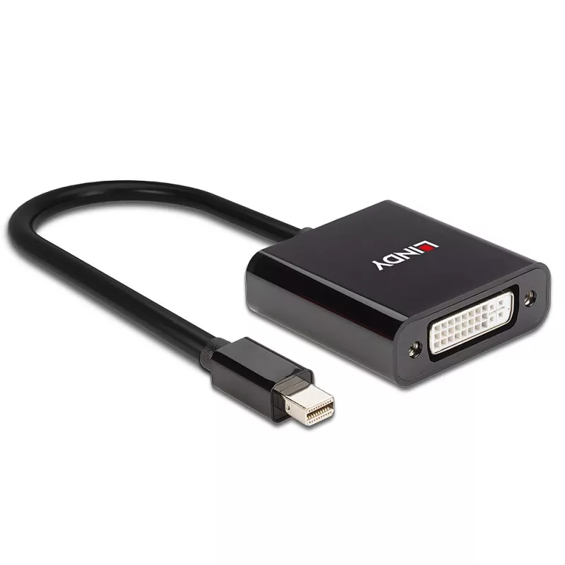 Lindy Mini DisplayPort DVI aktiivmuundur 0,16 m must