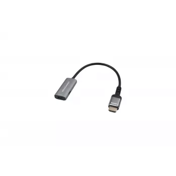 HDMI to USB-C adapter HDMI