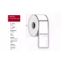 Printerisilt Capture CA-LB3132-C25G 32mm x 25mm 100 silti