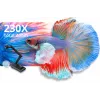 Dokumentdikaamera AVer M70W Must 25,4 / 3,2 mm CMOS USB 2.0