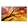 Sharp MultiSync PN-M982 interaktiivne lamepaneel 2.48 m (97.5 tolli) LED 550 cd/m² 4K Ultra HD must 24/7