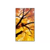 Sharp MultiSync PN-M982 interaktiivne lamepaneel 2.48 m (97.5 tolli) LED 550 cd/m² 4K Ultra HD must 24/7