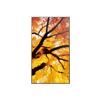 Sharp MultiSync PN-M982 interaktiivne lamepaneel 2.48 m (97.5 tolli) LED 550 cd/m² 4K Ultra HD must 24/7
