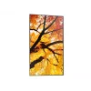 Sharp MultiSync PN-M982 interaktiivne lamepaneel 2.48 m (97.5 tolli) LED 550 cd/m² 4K Ultra HD must 24/7