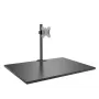 Lindy Single Display Short Bracket koos posti ja lauaklambriga
