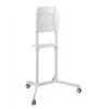 Vivolink VLFS3770 telerikinnitus/statiiv 177,8 cm (70 tolli) valge