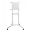 Vivolink VLFS3770 telerikinnitus/statiiv 177,8 cm (70 tolli) valge