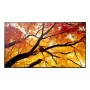Digitaalse infotahvli lameekraan NEC MultiSync M862 — 86 tolli (2,18 m) LCD, 4K UHD 3840×2160, 550 cd/m², 24/7, must