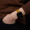 Kellarihm native union (Re)Classic Strap Apple Watchile ühilduv 38/40/41 mm laius 31 mm sügavus 6 mm pikkus 205 mm 1 tk