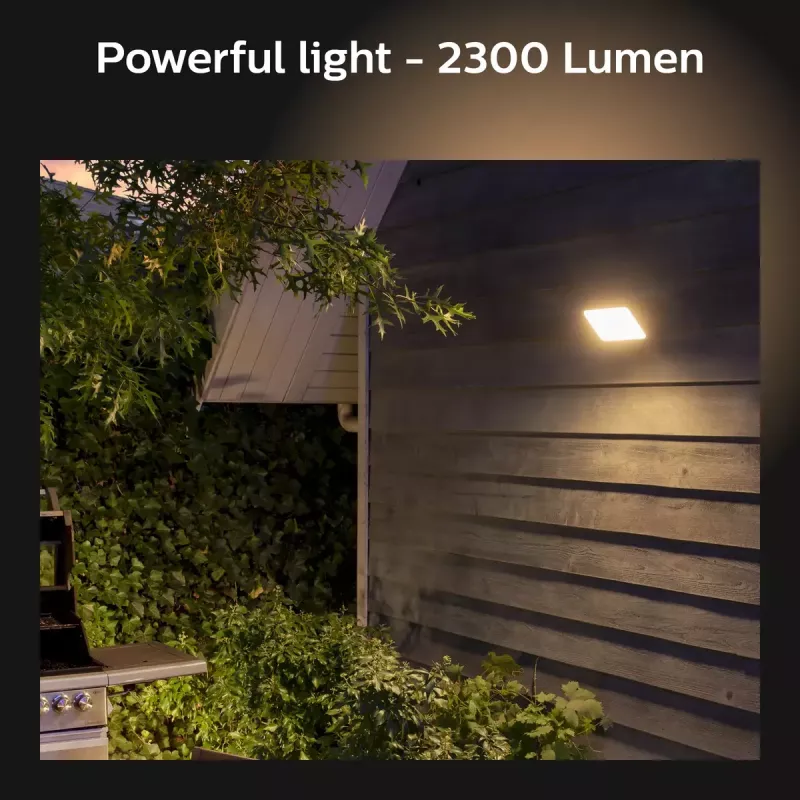 Välistingimustesse sobiv nutikas seinavalgusti Philips Hue Valge Welcome Floodlight, 20,5 W LED, sisend 220–240 V, 24 V valgusallikas, must, 160×220×153 mm