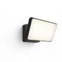 Välistingimustesse sobiv nutikas seinavalgusti Philips Hue Valge Welcome Floodlight, 20,5 W LED, sisend 220–240 V, 24 V valgusallikas, must, 160×220×153 mm