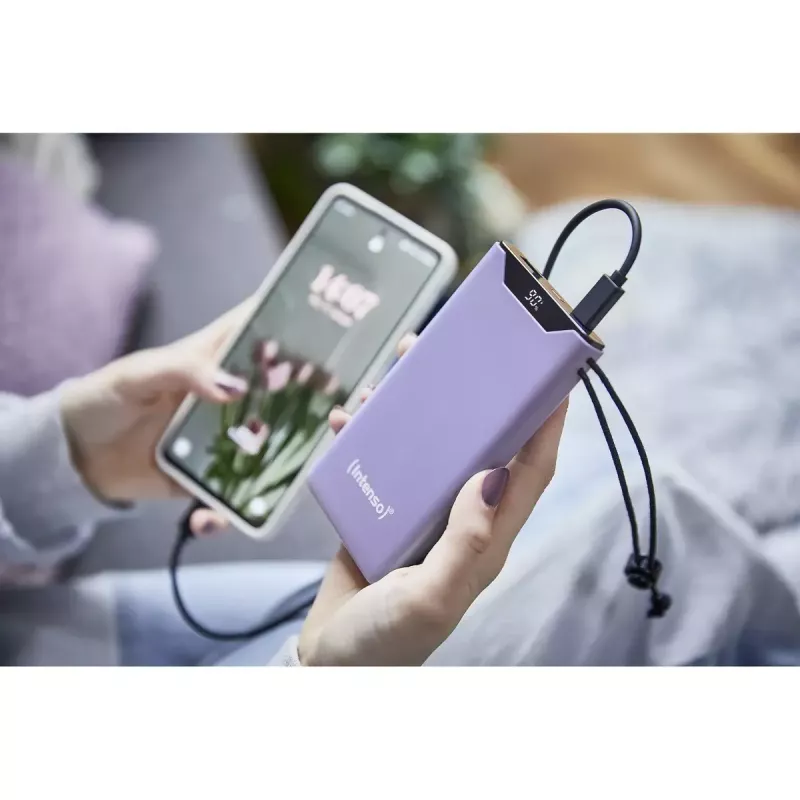 Akupank Intenso 7332033 10000 mAh