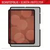 Displex TABLET PRIVACY SAFE eemaldatav kahesuunaline privaatsusfilter iPad Pro 13 tolli/Air 13 tolli (2024/2025) jaoks