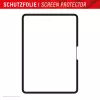 Displex TABLET PAPERSENSE iPad Pro 11'' (2025/2024) jaoks, eemaldatav kirjutus- või joonistuskile paberi tundega