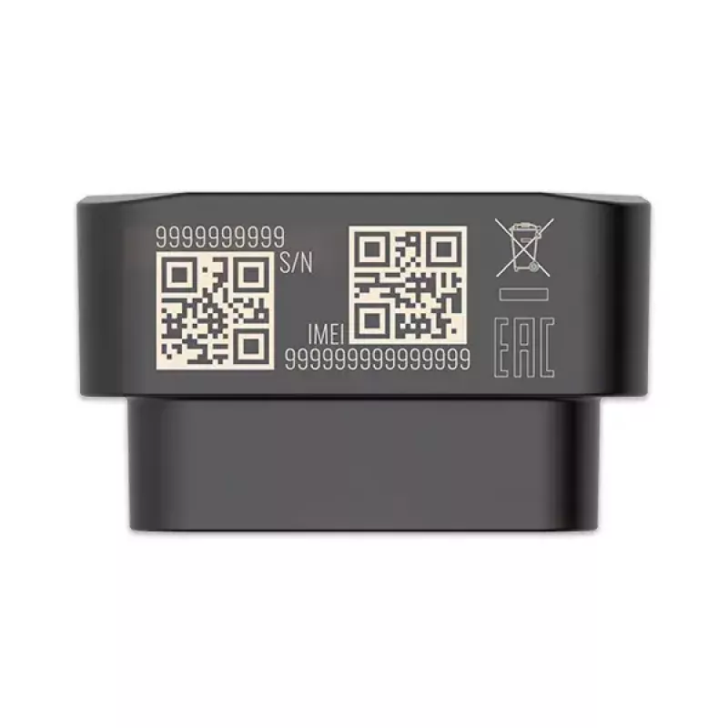 GPS-jälgija Teltonika FMB020 auto must tolmukindel 0,128 GB