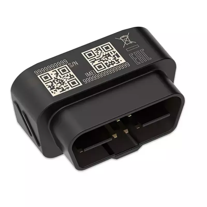 GPS-jälgija Teltonika FMB020 auto must tolmukindel 0,128 GB