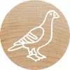 Colop Tempel Colop 165224 Ümmargune Kumm Puit 3 cm